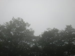 濃い濃霧