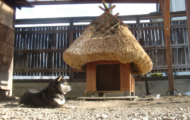 茅葺き屋根の犬小屋