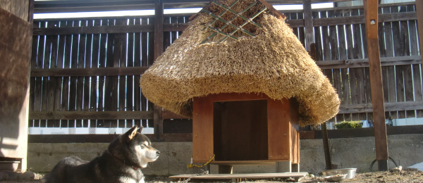 茅葺き屋根の犬小屋